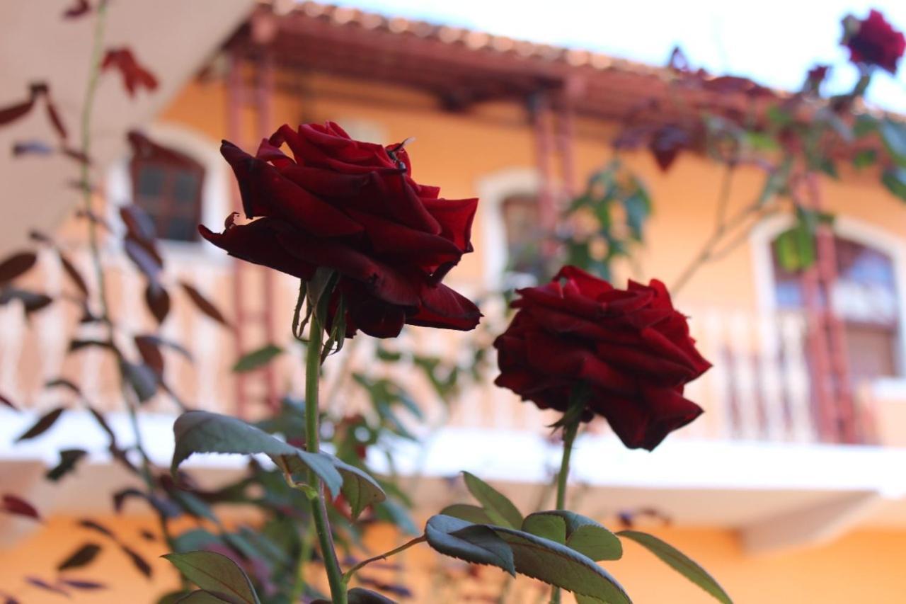 Hotel Recanto Das Abelhas - 300 M Do Centro Historico Tiradentes Zewnętrze zdjęcie